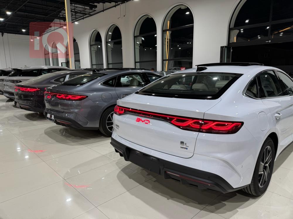 بي واي دي كوين L DM-i